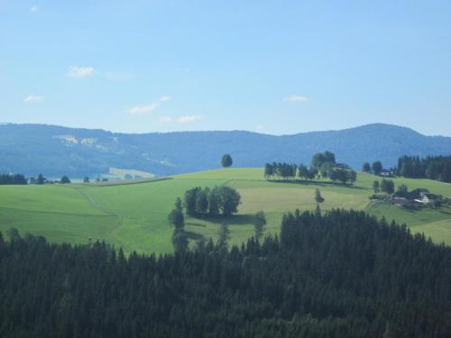IMG_4785.JPG