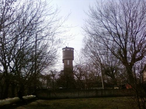 SP_A0348.jpg