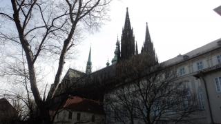 DSC07086.JPG