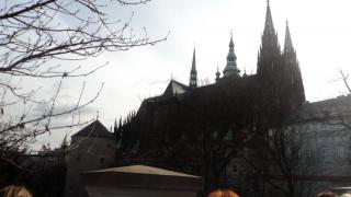 DSC07082.JPG