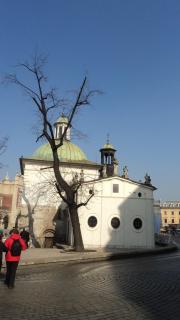 DSC07597.JPG