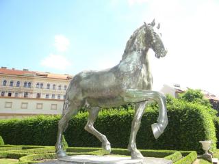 DSC04822.JPG