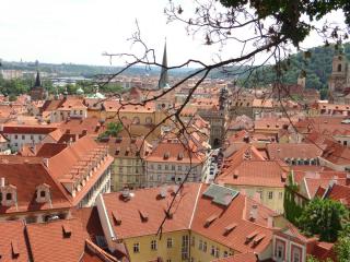 DSC04780.JPG