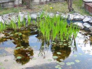 DSC04535.JPG