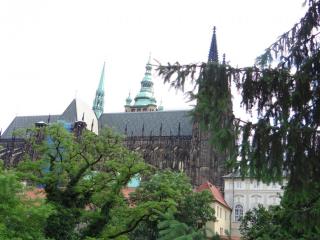 DSC04683.JPG