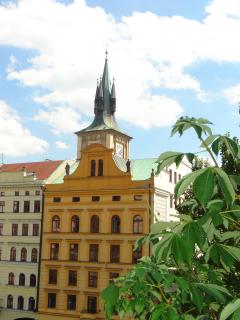 DSC04940.JPG