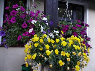 DSC04474.JPG