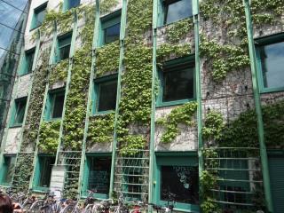 DSC04154.JPG