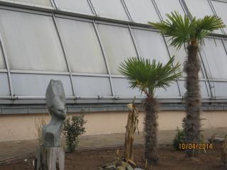 IMG_0488.JPG
