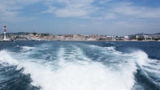 DSC01584.JPG