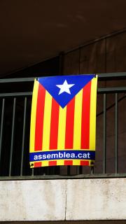 DSC01714.JPG