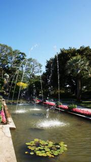 DSC01530.JPG