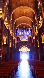 DSC01244.JPG