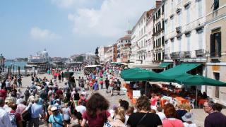 DSC00686.JPG