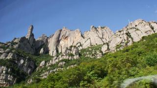 DSC01979.JPG