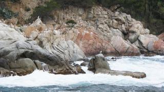 DSC02101.JPG