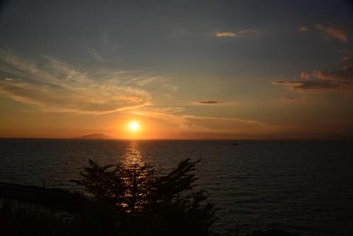 DSC_2566.JPG