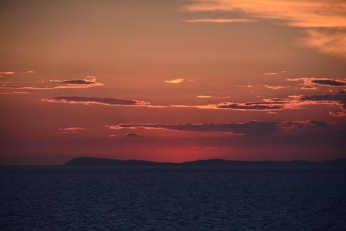 DSC_2595.JPG