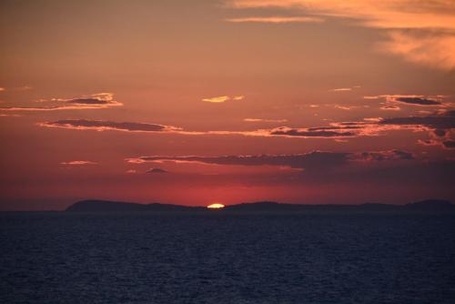 DSC_2594.JPG