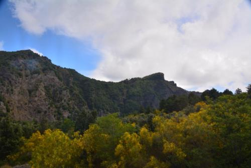 DSC_2395.JPG