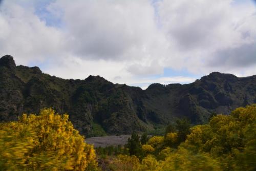 DSC_2399.JPG