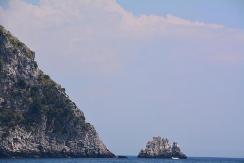 DSC_2728.JPG