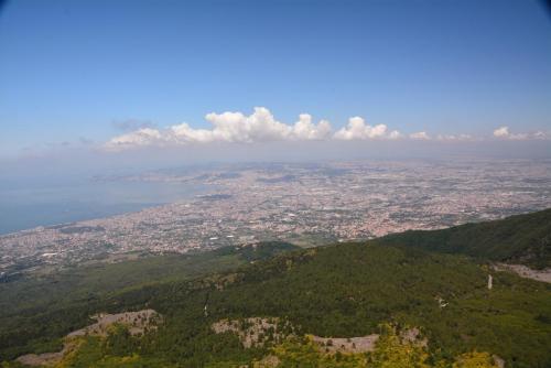 DSC_2420.JPG
