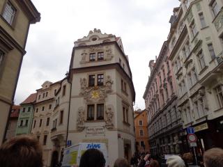 DSC02264.JPG
