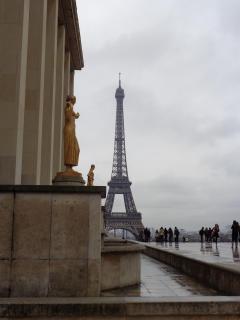 DSC01778.JPG