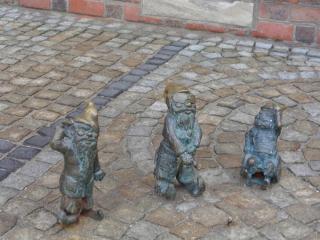 DSC02361.JPG