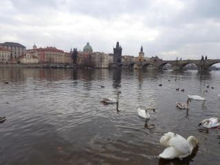 DSC02195.JPG