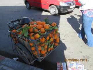 Испания - Марокко март 2014 1352.jpg