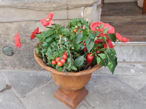 Сердце Италии 2016 1702.jpg