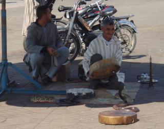 DSC01612.JPG