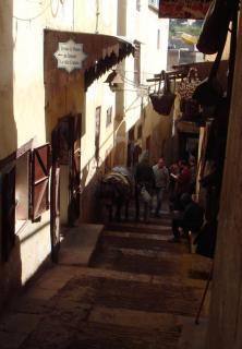 DSC01832 (2).JPG