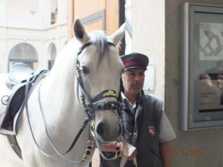 DSCF5332.JPG