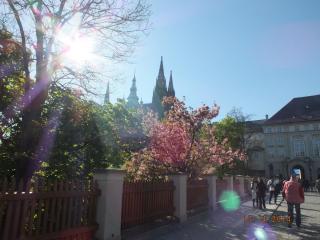 DSCF4927.JPG