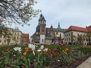 DSCF5637.JPG