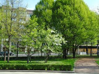 DSC03079.JPG