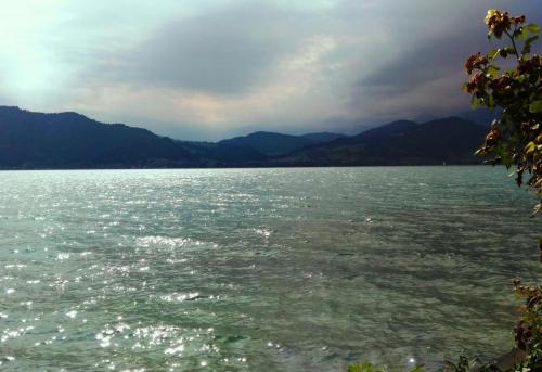 озеоро утром444.jpg