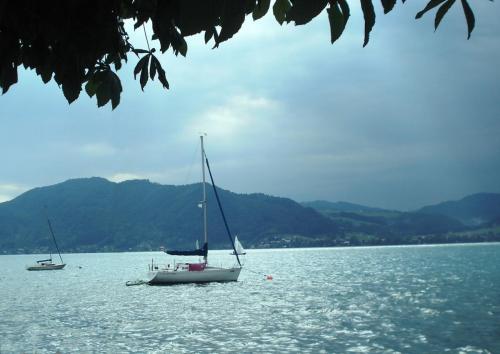 утро на озерел.jpg