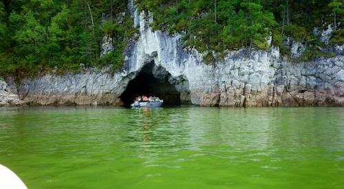 7_870_490_fixedwidth_retina (1).jpg