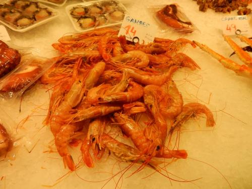DSCN8605.JPG