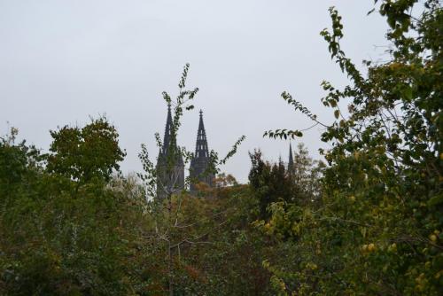 DSC_0545.JPG