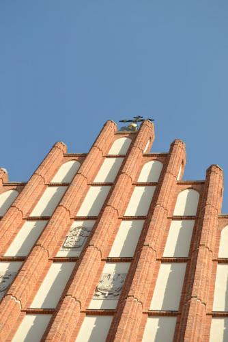 DSC_0133.JPG