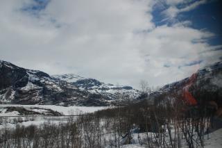 DSC_3517.jpg