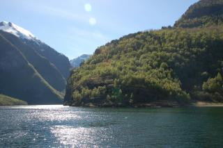 DSC_3703.JPG