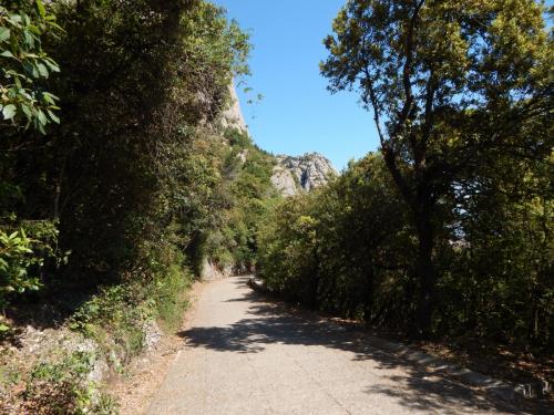 DSCN5804.JPG