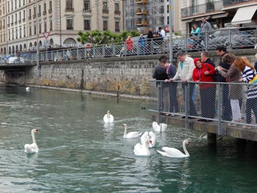 DSCN4780.JPG