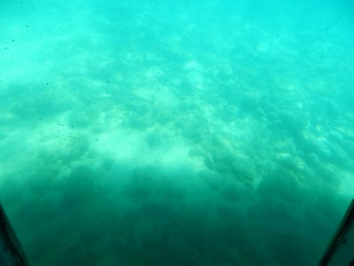 DSCN5364.JPG